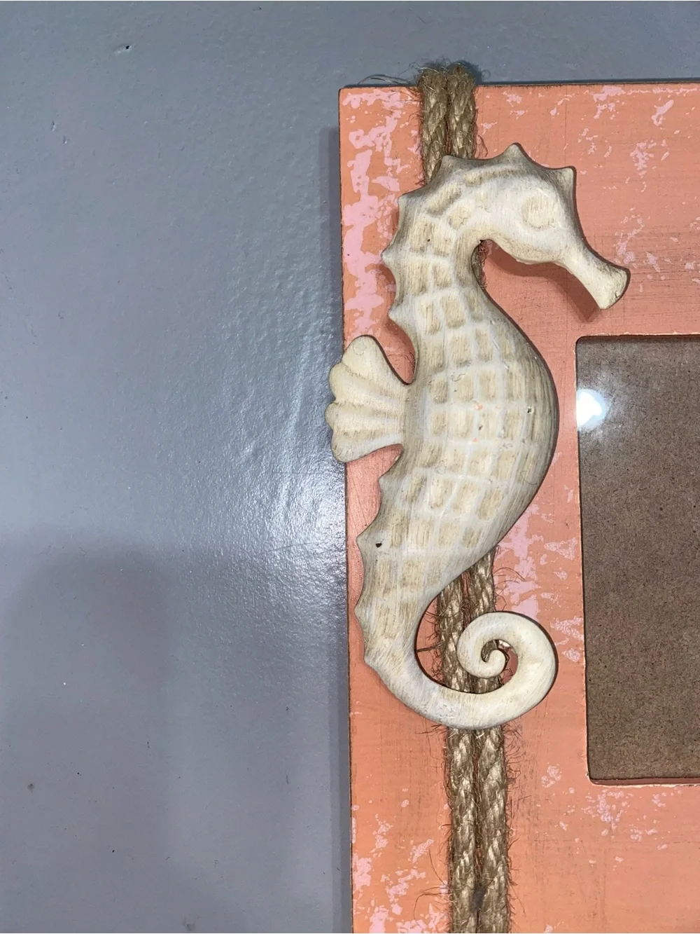 Seahorse Coral Picture Frame by